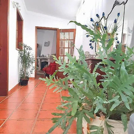 Casa Da Avo Teresa Vale de Colmeias