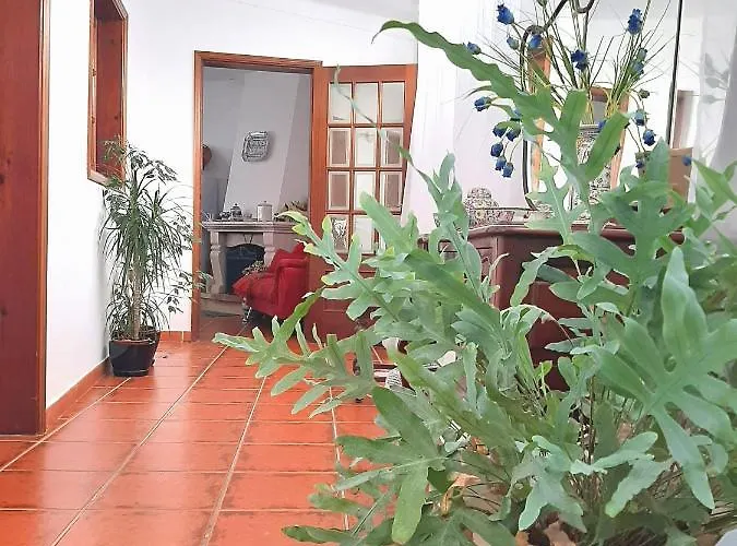 Casa Da Avo Teresa Vale de Colmeias